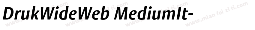 DrukWideWeb MediumIt字体转换